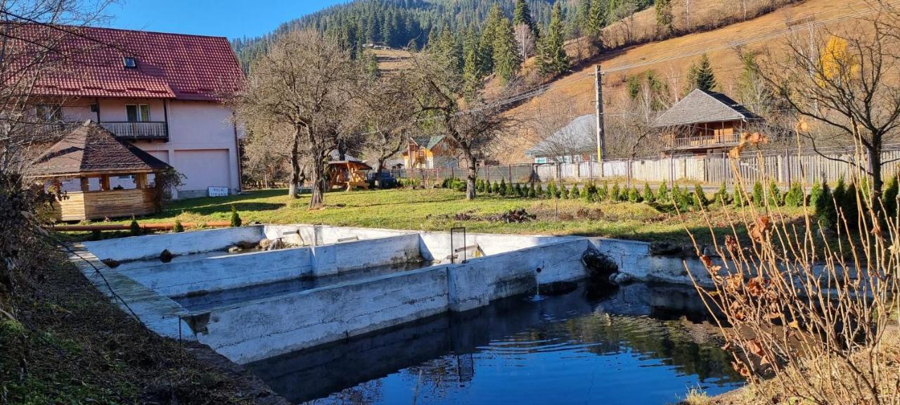Villa Ileana Ceahlău Esterno foto