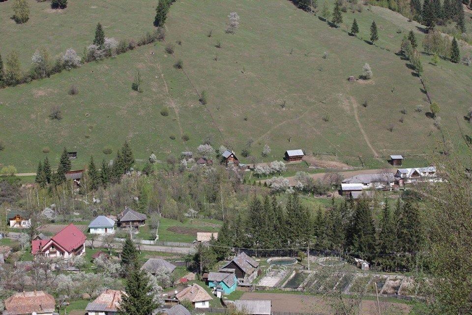 Villa Ileana Ceahlău Esterno foto