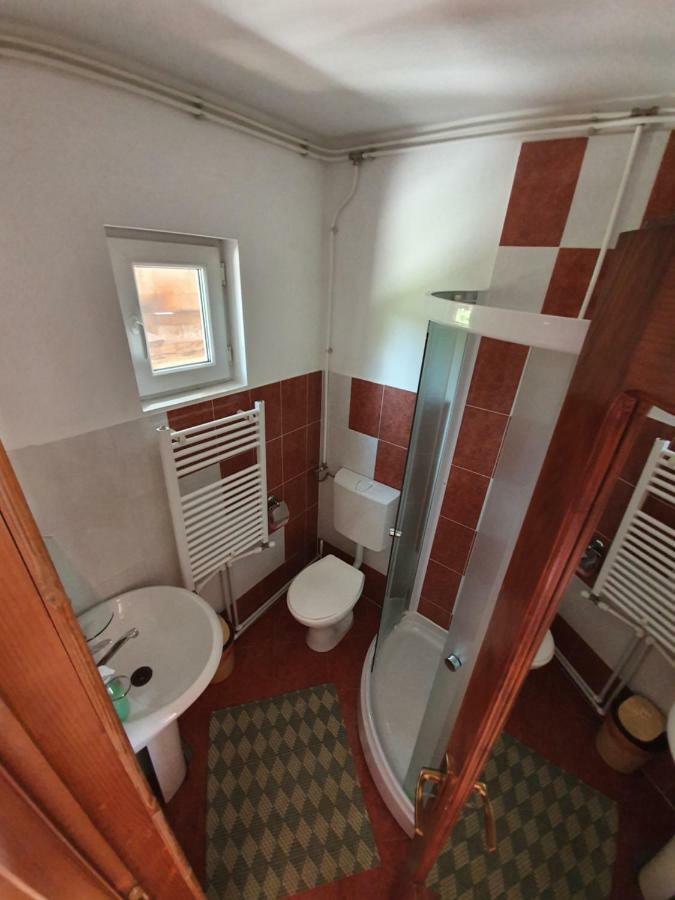 Villa Ileana Ceahlău Esterno foto